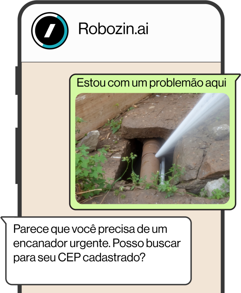 Interpretação de Imagens: O Robozin identifica suas necessidades também com auxílio de imagens